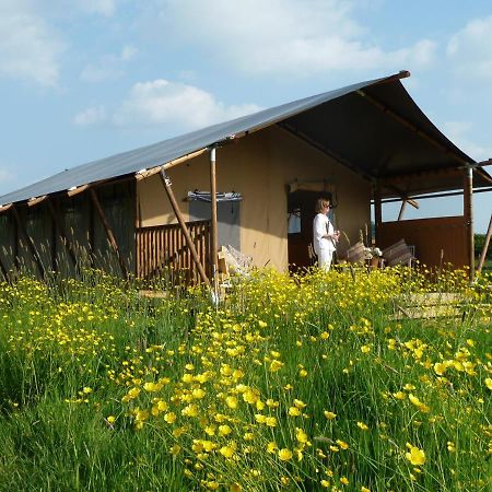 Tall Trees Glamping Villa Baltonsborough Exterior photo