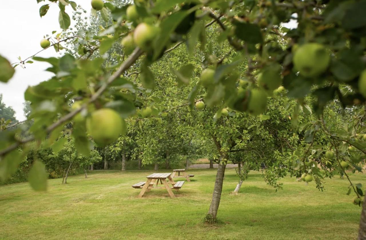 Tall Trees Glamping Villa Baltonsborough Exterior photo