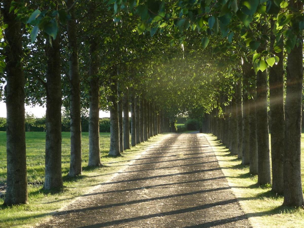 Tall Trees Glamping Villa Baltonsborough Exterior photo